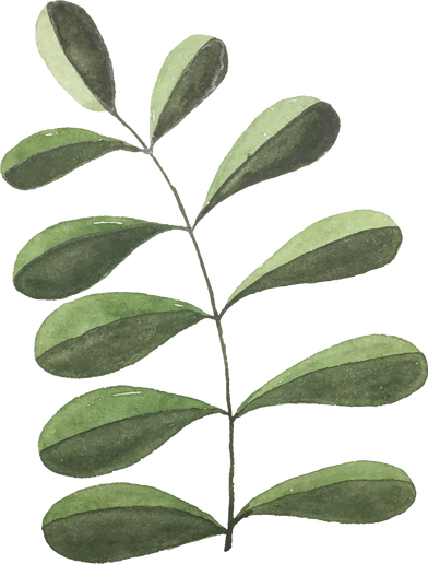 Watercolor Plant Illustration